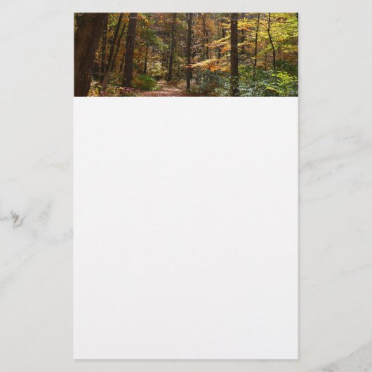 Sunlit Herfst Trail in Laurel Hill State Park Briefpapier (Voorkant)