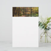 Sunlit Herfst Trail in Laurel Hill State Park Briefpapier (Staand voorkant)