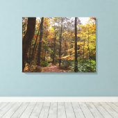 Sunlit Herfst Trail in Laurel Hill State Park Canvas Afdruk (Insitu (Houten vloer))