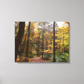 Sunlit Herfst Trail in Laurel Hill State Park Canvas Afdruk (Voorkant)