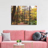 Sunlit Herfst Trail in Laurel Hill State Park Canvas Afdruk (Insitu (Woonkamer))