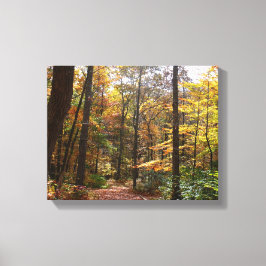 Sunlit Herfst Trail in Laurel Hill State Park Canvas Afdruk