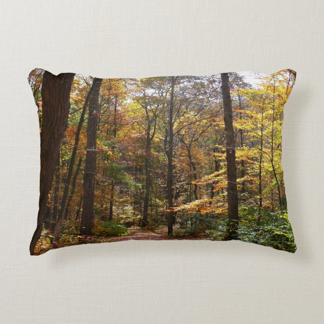 Sunlit Herfst Trail in Laurel Hill State Park Decoratief Kussen (Voorkant)