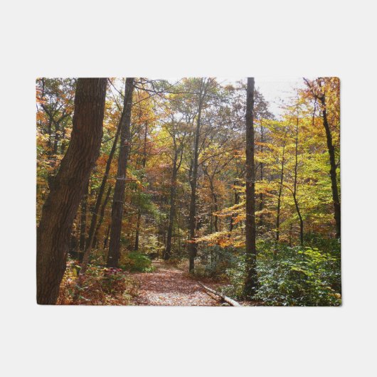 Sunlit Herfst Trail in Laurel Hill State Park Deurmat (Voorkant)