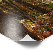 Sunlit Herfst Trail in Laurel Hill State Park Foto Afdruk (Hoek)