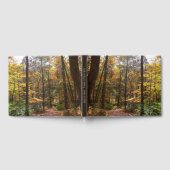 Sunlit Herfst Trail in Laurel Hill State Park Gastenboek (Volledig)