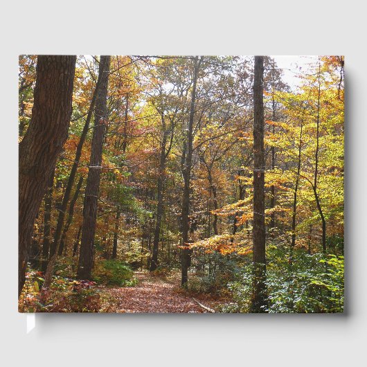 Sunlit Herfst Trail in Laurel Hill State Park Gastenboek (Voorkant)