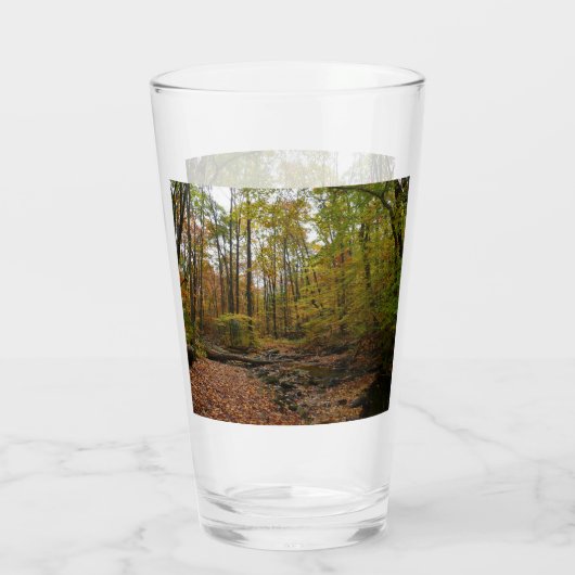 Sunlit Herfst Trail in Laurel Hill State Park Glas (Achterkant)