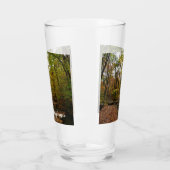 Sunlit Herfst Trail in Laurel Hill State Park Glas (Links)