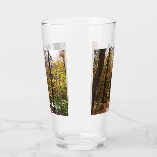 Sunlit Herfst Trail in Laurel Hill State Park Glas (Links)