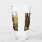 Sunlit Herfst Trail in Laurel Hill State Park Glas (Rechts)