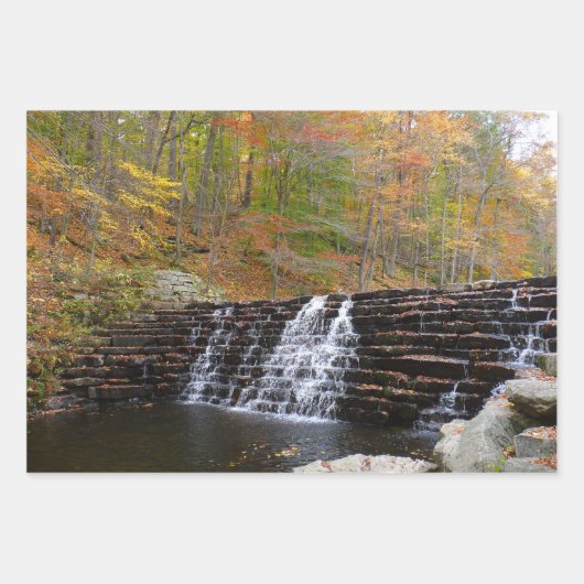 Sunlit Herfst Trail in Laurel Hill State Park Inpakpapier Vel (Voorkant 3)