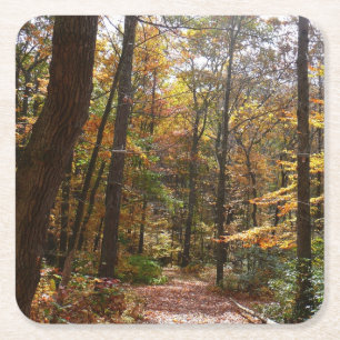 Sunlit Herfst Trail in Laurel Hill State Park Kartonnen Onderzetters
