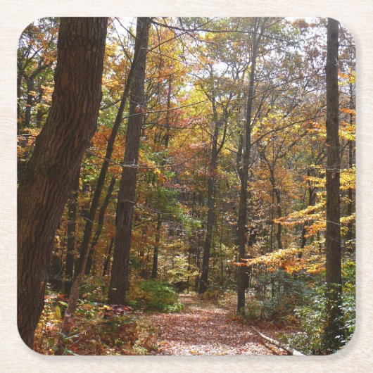 Sunlit Herfst Trail in Laurel Hill State Park Kartonnen Onderzetters (Voorkant)