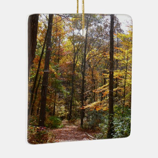 Sunlit Herfst Trail in Laurel Hill State Park Keramisch Ornament (Rechts)