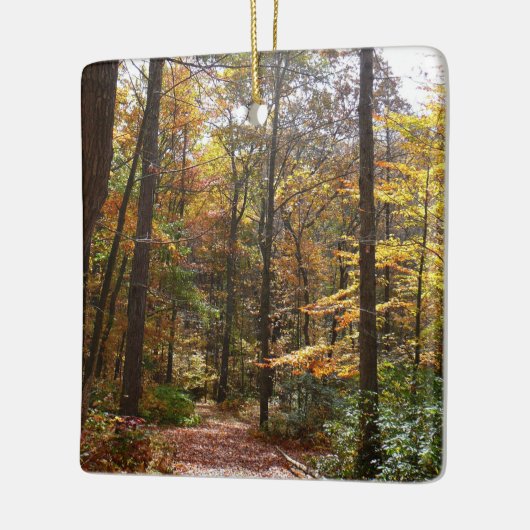 Sunlit Herfst Trail in Laurel Hill State Park Keramisch Ornament (Links)
