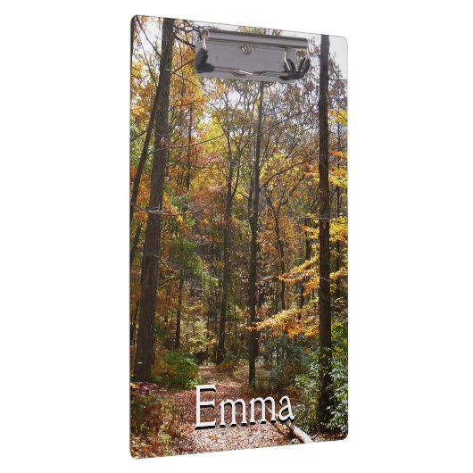 Sunlit Herfst Trail in Laurel Hill State Park Klembord (Rechts)