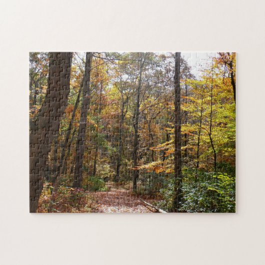 Sunlit Herfst Trail in Laurel Hill State Park Legpuzzel (Horizontaal)