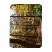 Sunlit Herfst Trail in Laurel Hill State Park Magneet (Verticaal)