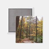 Sunlit Herfst Trail in Laurel Hill State Park Magneet (Voorkant / Achterkant)