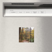 Sunlit Herfst Trail in Laurel Hill State Park Magneet (Insitu (Vaatwasser))