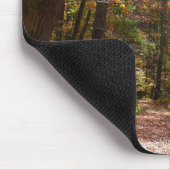 Sunlit Herfst Trail in Laurel Hill State Park Muismat (Hoek)