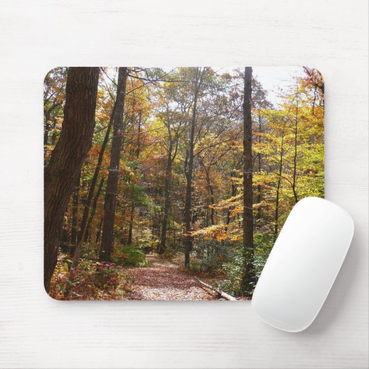 Sunlit Herfst Trail in Laurel Hill State Park Muismat (Met muis)