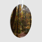 Sunlit Herfst Trail in Laurel Hill State Park Ornament (voorkant)