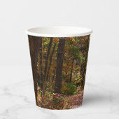 Sunlit Herfst Trail in Laurel Hill State Park Papieren Bekers (Voorkant)