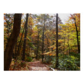 Sunlit Herfst Trail in Laurel Hill State Park Poster (Voorkant)