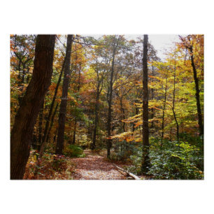 Sunlit Herfst Trail in Laurel Hill State Park Poster