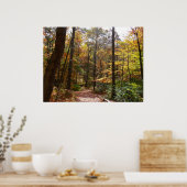 Sunlit Herfst Trail in Laurel Hill State Park Poster (Keuken)