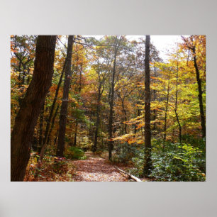 Sunlit Herfst Trail in Laurel Hill State Park Poster