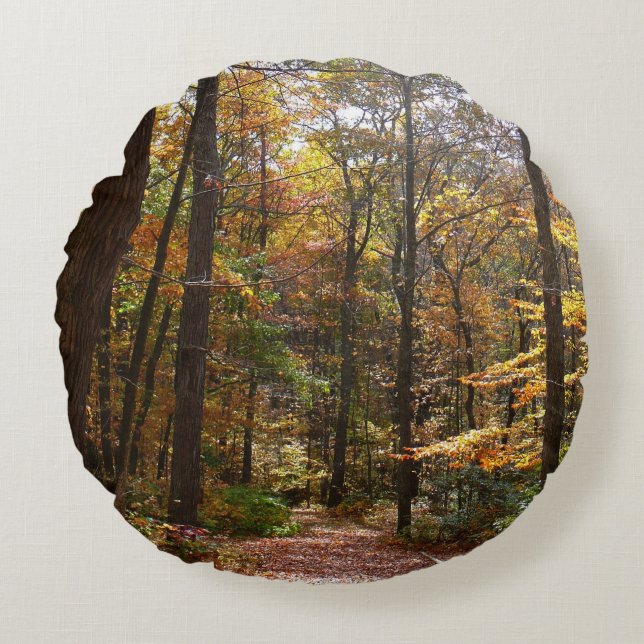 Sunlit Herfst Trail in Laurel Hill State Park Rond Kussen (Voorkant)