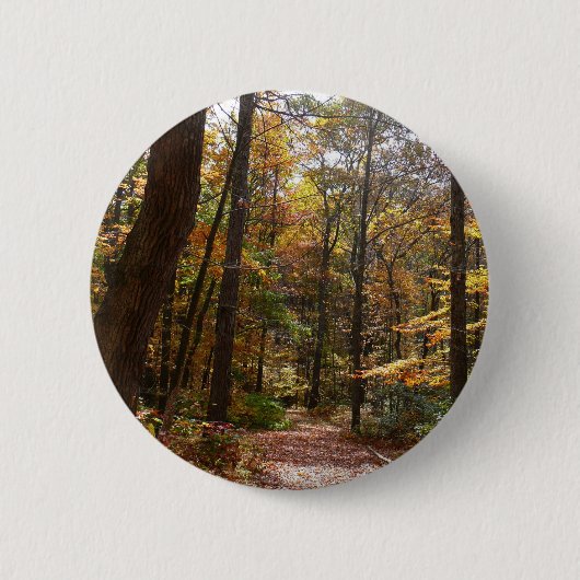 Sunlit Herfst Trail in Laurel Hill State Park Ronde Button 5,7 Cm (Voorkant)