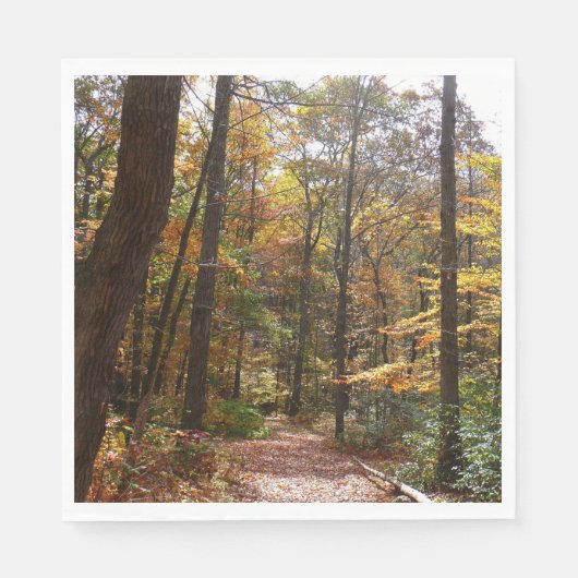 Sunlit Herfst Trail in Laurel Hill State Park Servetten (Voorkant)
