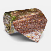 Sunlit Herfst Trail in Laurel Hill State Park Stropdas (Opgerold)