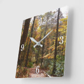 Sunlit Herfst Trail in Laurel Hill State Park Vierkante Klok (Hoek)