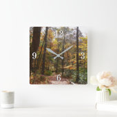 Sunlit Herfst Trail in Laurel Hill State Park Vierkante Klok (Huis)