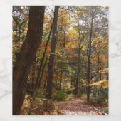 Sunlit Herfst Trail in Laurel Hill State Park Wijn Etiket (Enkel label)