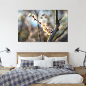 Sunlit Japanse Abriot Sakura White Flowers Canvas Afdruk (Insitu (Slaapkamer))