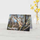 Sunlit Japanse Abriot Sakura White Flowers Kaart (Gele Bloem)