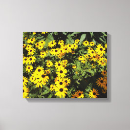 Sunlit Meadow Canvas Afdruk
