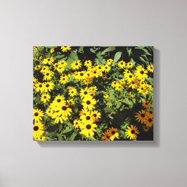 Sunlit Meadow Canvas Afdruk