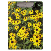 Sunlit Meadow Klembord (Voorkant)