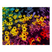 Sunlit Meadow Poster (Voorkant)