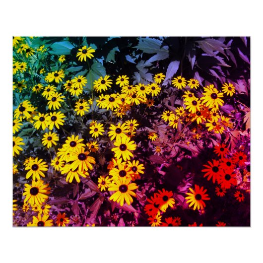 Sunlit Meadow Poster (Voorkant)