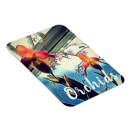 Sunlit Orchids Photo Magnet Magneet (Rechterzijde)