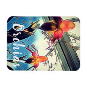 Sunlit Orchids Photo Magnet Magneet (Horizontaal)