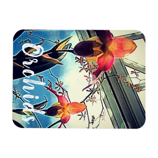 Sunlit Orchids Photo Magnet Magneet (Horizontaal)